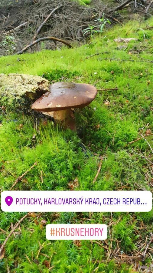 Apartmany Stran Potucky المظهر الخارجي الصورة